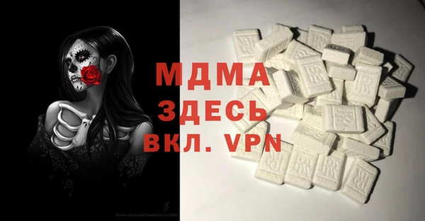 spice Богородицк