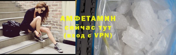 spice Богородицк