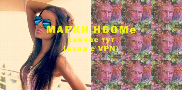 хмурый Богородск
