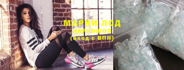 spice Богородицк